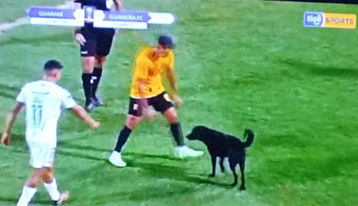 Inédito: Guaireña juega con 12 jugadores en campo