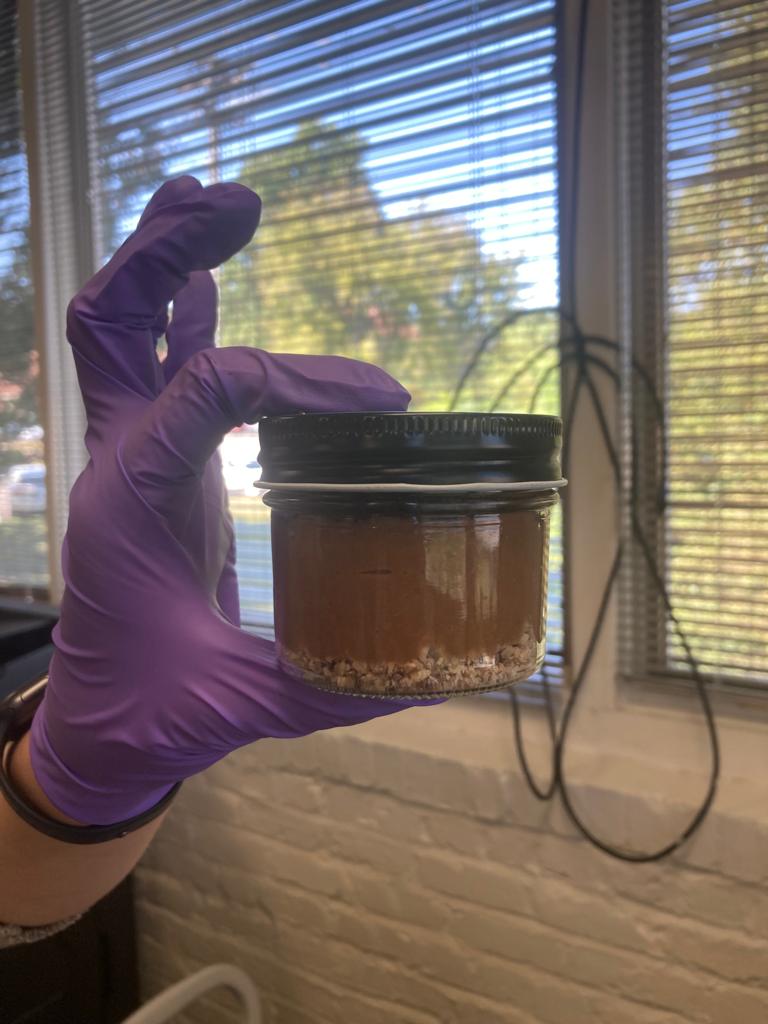 Sindhu Jagadamma tweet media