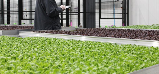 80 Acres Farms tweet media