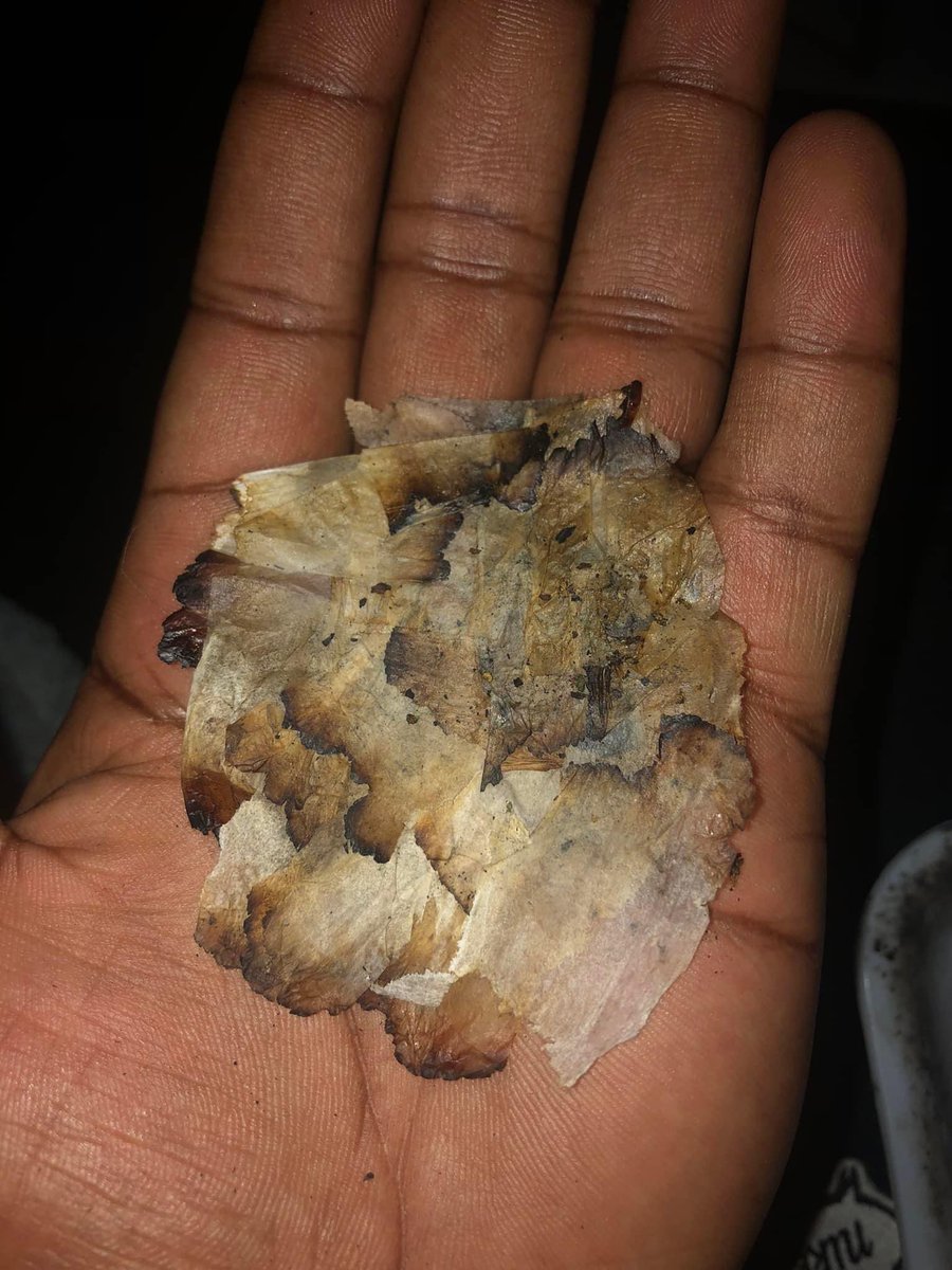 SmellinMoney's tweet photo. MF said they gone find a way to get high LMAO can’t make this shit up https://t.co/IldN3CZJUH