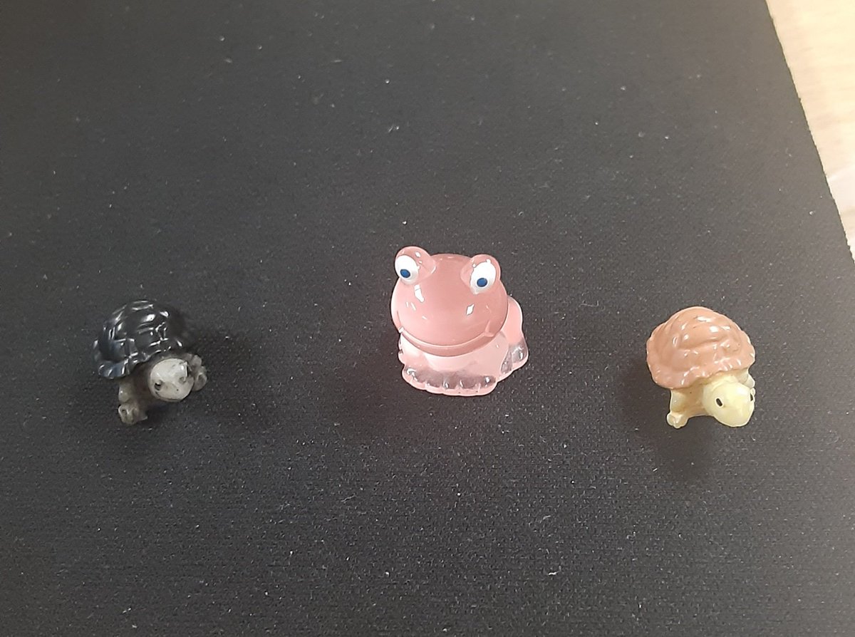 Mary Mahan tweet media