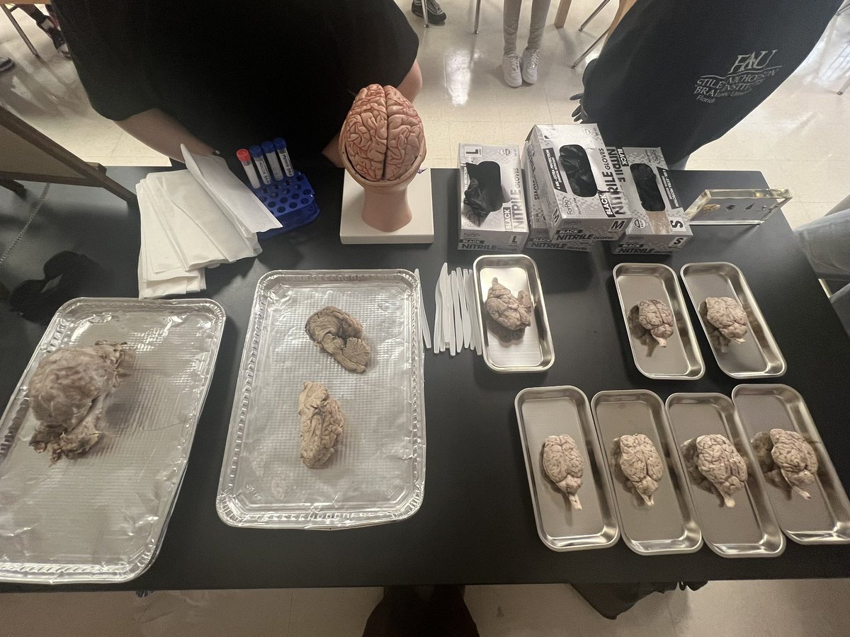 Monica Williams, Ed.S. (@ms_williams02) on Twitter photo Thank you <a href="/MrsAtkinsTMS/">Melissa Atkins</a> for inviting me into your Science class to learn all about the brain 🧠 from @program_ascend 🧬 🧪🔬
<a href="/FauBrain/">FAU Brain Institute</a> <a href="/PBCSTEM/">PBC STEM Learning Ecosystem</a> Thank you <a href="/MrsAtkinsTMS/">Melissa Atkins</a> for inviting me into your Science class to learn all about the brain 🧠 from @program_ascend 🧬 🧪🔬
<a href="/FauBrain/">FAU Brain Institute</a> <a href="/PBCSTEM/">PBC STEM Learning Ecosystem</a>