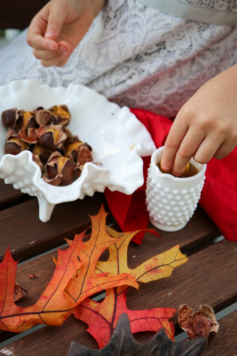 vachestnuts's tweet image. Saturday, Sept. 30 is the first Pick-Your-Own #Chestnuts. Check Virginia Chestnuts for dates, times &amp;amp; directions. #FarmLife #Virginia   5990 Wheelers Cove Road, Shipman, VA