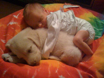 NaeviaNn's tweet photo. Have you ever seen a more innocent scene? We think not. A puppy and a new born resting together can bring world peace. They should replace this image with one of the presidents on currency. Have a good night twitter. https://t.co/3ywXKihve1