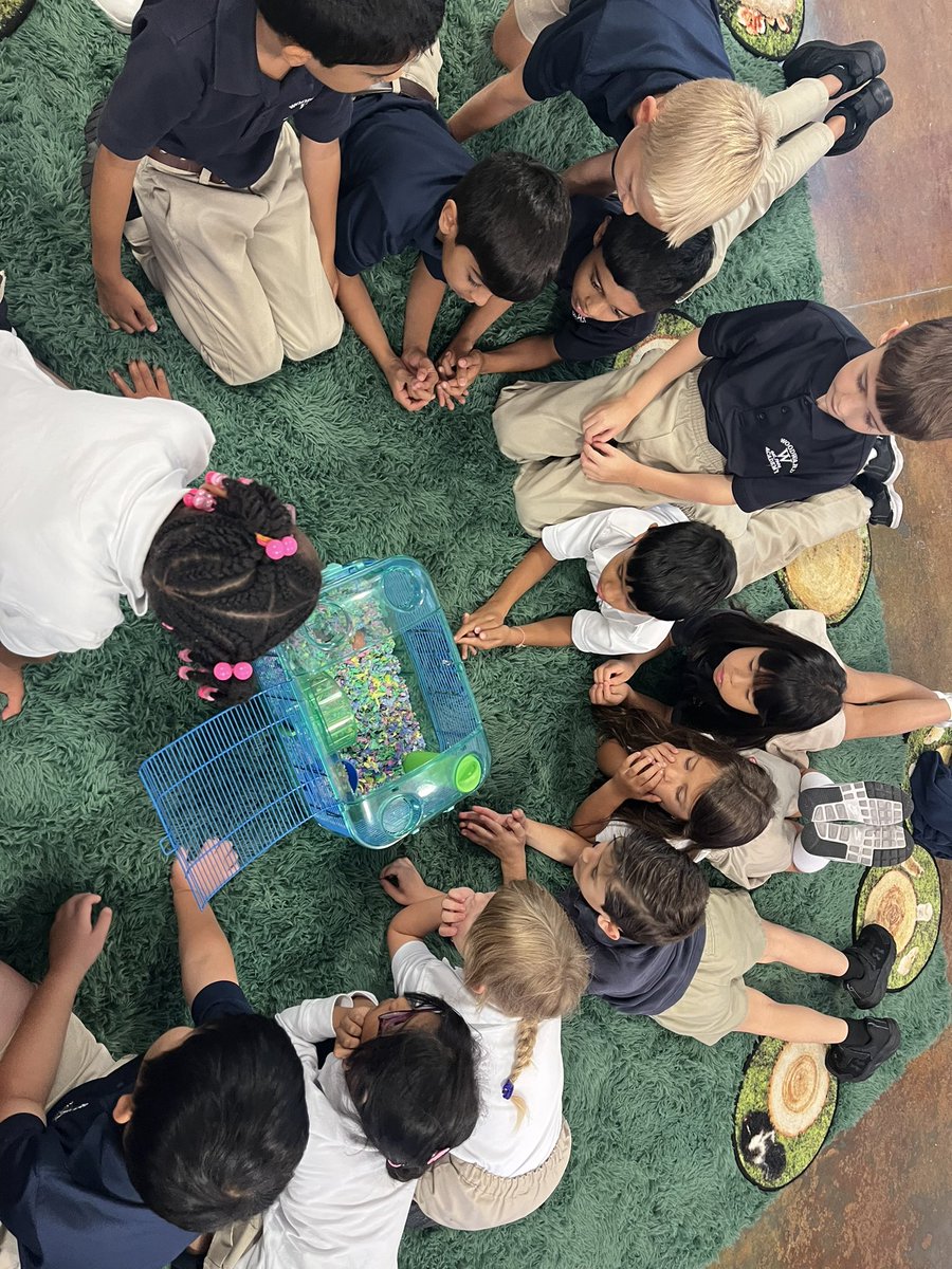 Sara Day (@wanorthart) on Twitter photo Lots of HUGE grins in the art room this week! Clay day AND a class pet! What could be better? <a href="/WoodwardAcademy/">Woodward Academy</a> Lots of HUGE grins in the art room this week! Clay day AND a class pet! What could be better? <a href="/WoodwardAcademy/">Woodward Academy</a>