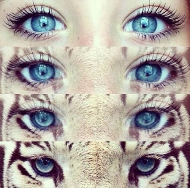 madison3xo's tweet photo. @ColorblindCrocs It’s giving 2013 https://t.co/xp1k7T1KTs