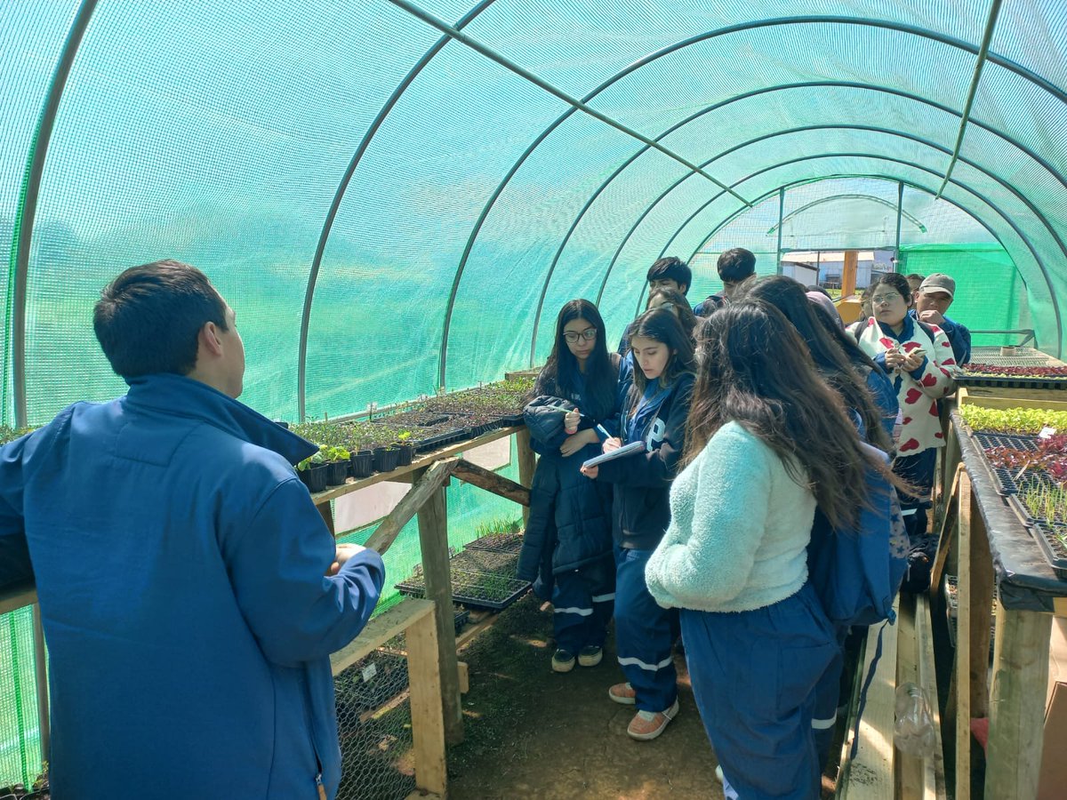 RavilesR's tweet photo. Estudiantes de la @ucscconcepcion sede Cañete del Área Agropecuaria visitan Unidad de Trabajo del Proyecto @iniachile @gorebiobio "Transferencia tecnológica y extensión agropecuaria para productores de Provincia de Arauco" en @Gendarmeria_CL CET Cañete. https://t.co/LUxK8e5xiW