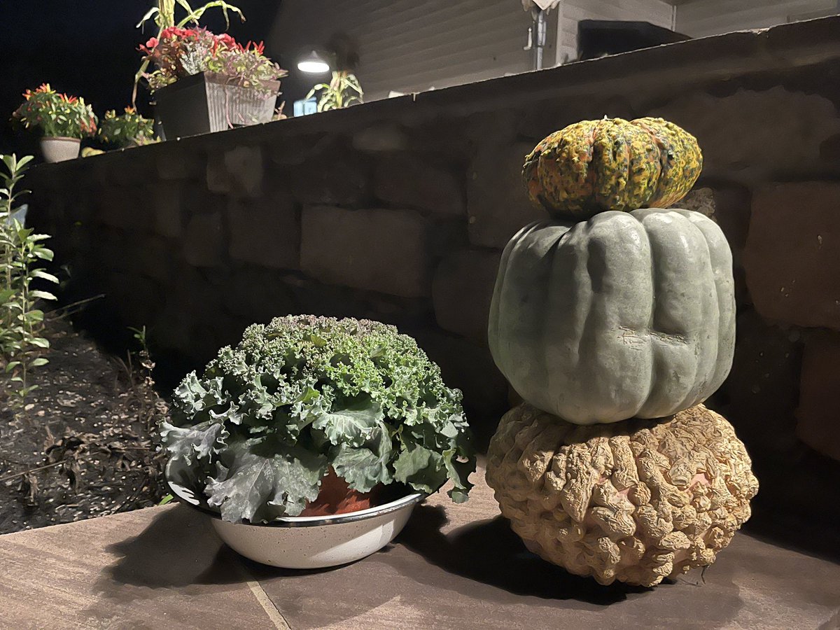 kimsesh's tweet photo. Fall decorating makes my heart happy!💕 https://t.co/JA9e7pJ6CO