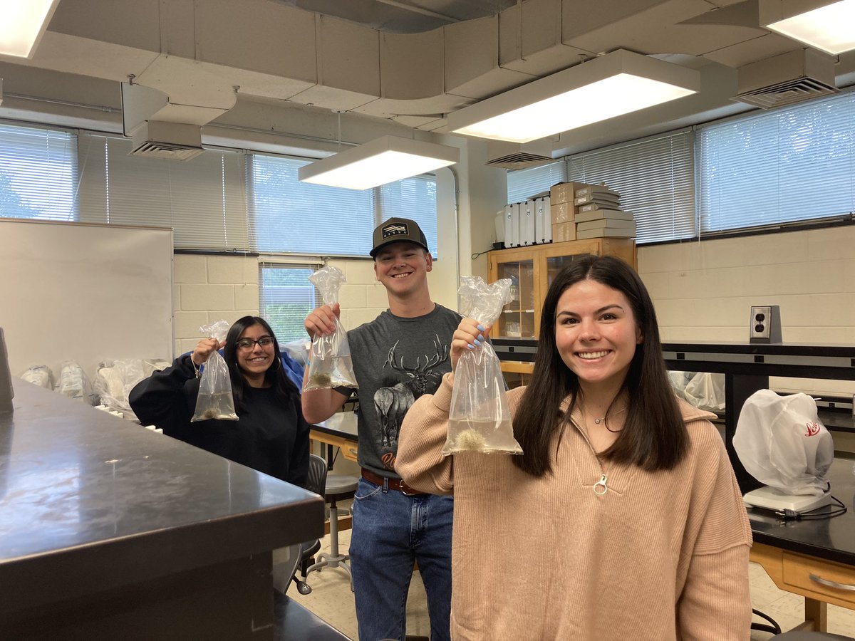 My Dev Bio lab students now have gastrulating sea urchin embryos! All embryo photos courtesy of an excellent student, <a href="/cellbiolauren/">Lauren Jung</a>! <a href="/ecuhcas/">Harriot College</a> <a href="/ECU_Biology/">ECU_Biology</a>