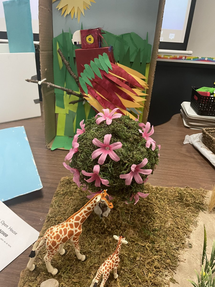 Science dioramas being shared with parents tonight at open house! What awesome work these students put forth! <a href="/HumbleISD_BBE/">Bear Branch Elem</a> <a href="/Humble_Science/">Humble ISD Elementary Science</a>