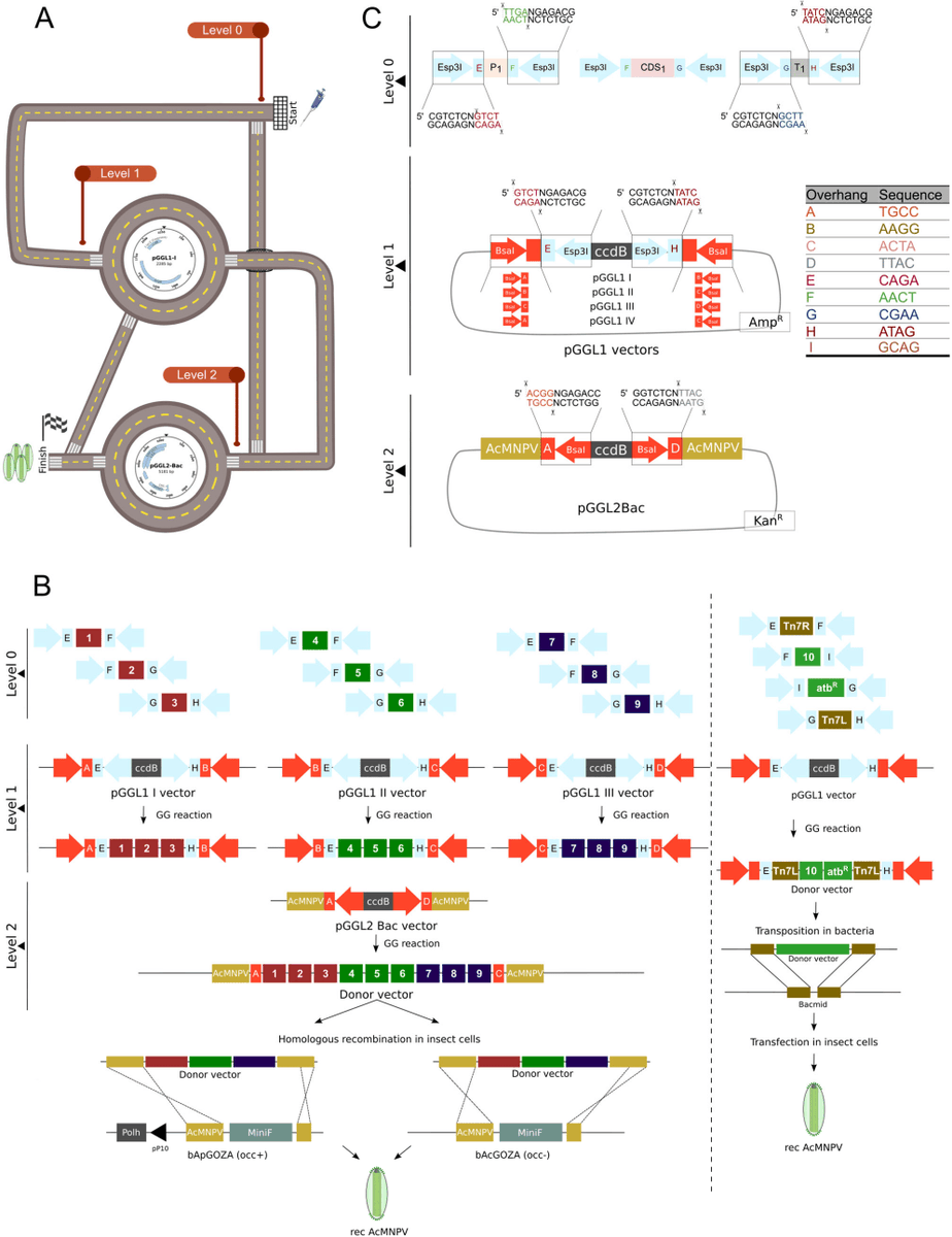 Viruses MDPI tweet media