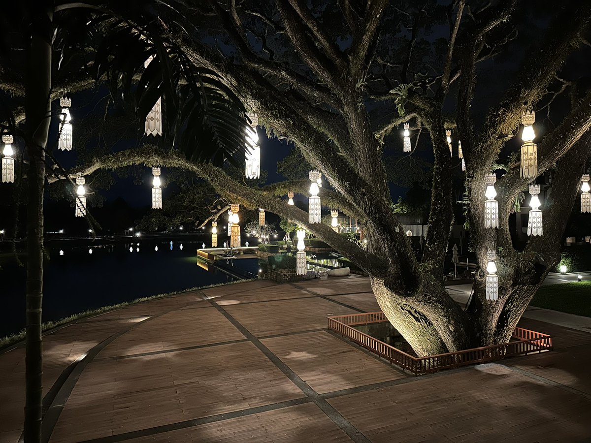 Kerri Lampard tweet media