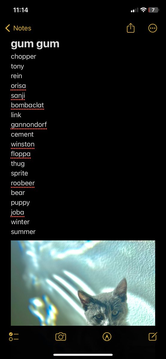 KOBY/MOJITO tweet media