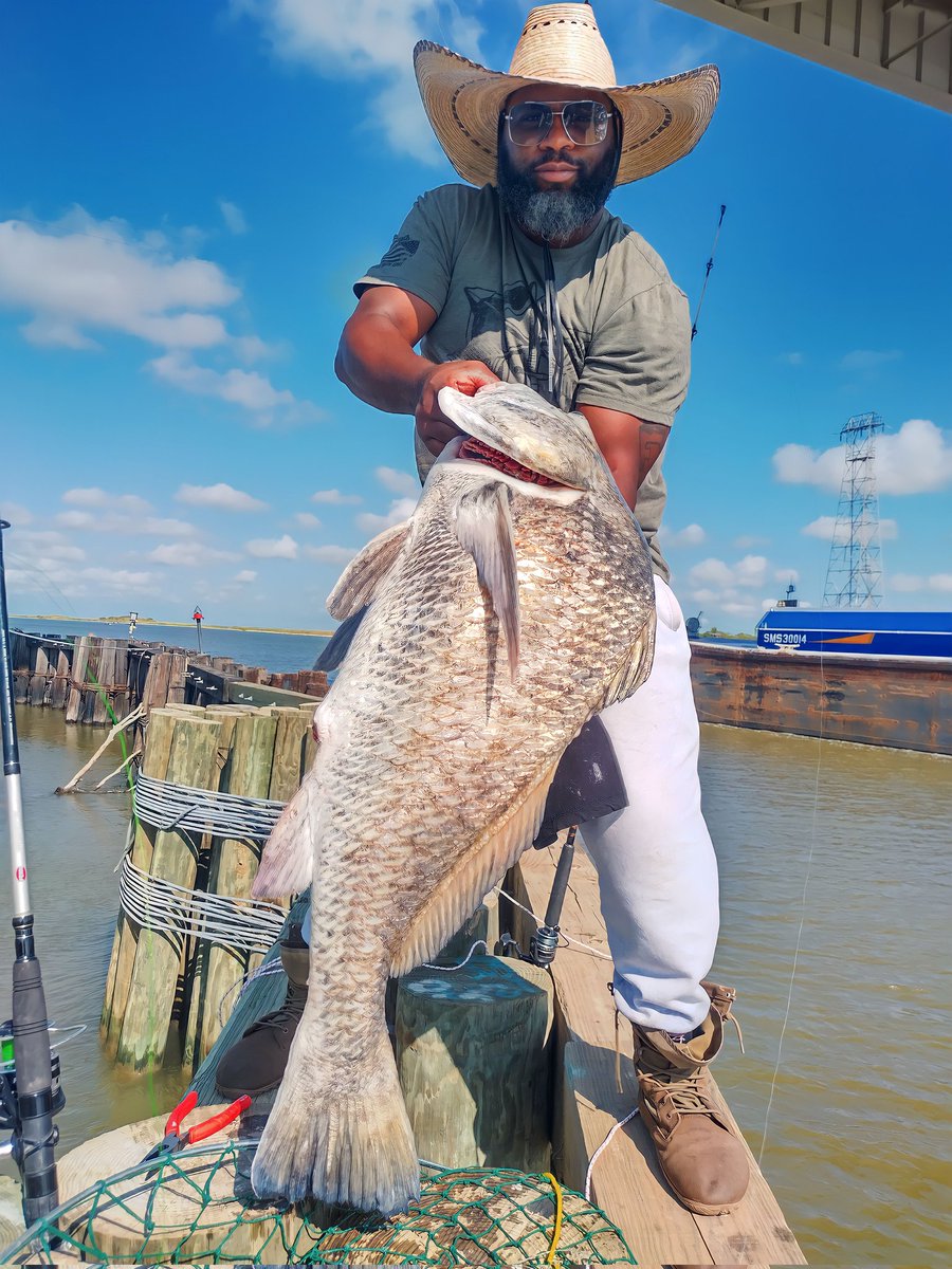 chef A1 (@chef__a1) on Twitter photo 