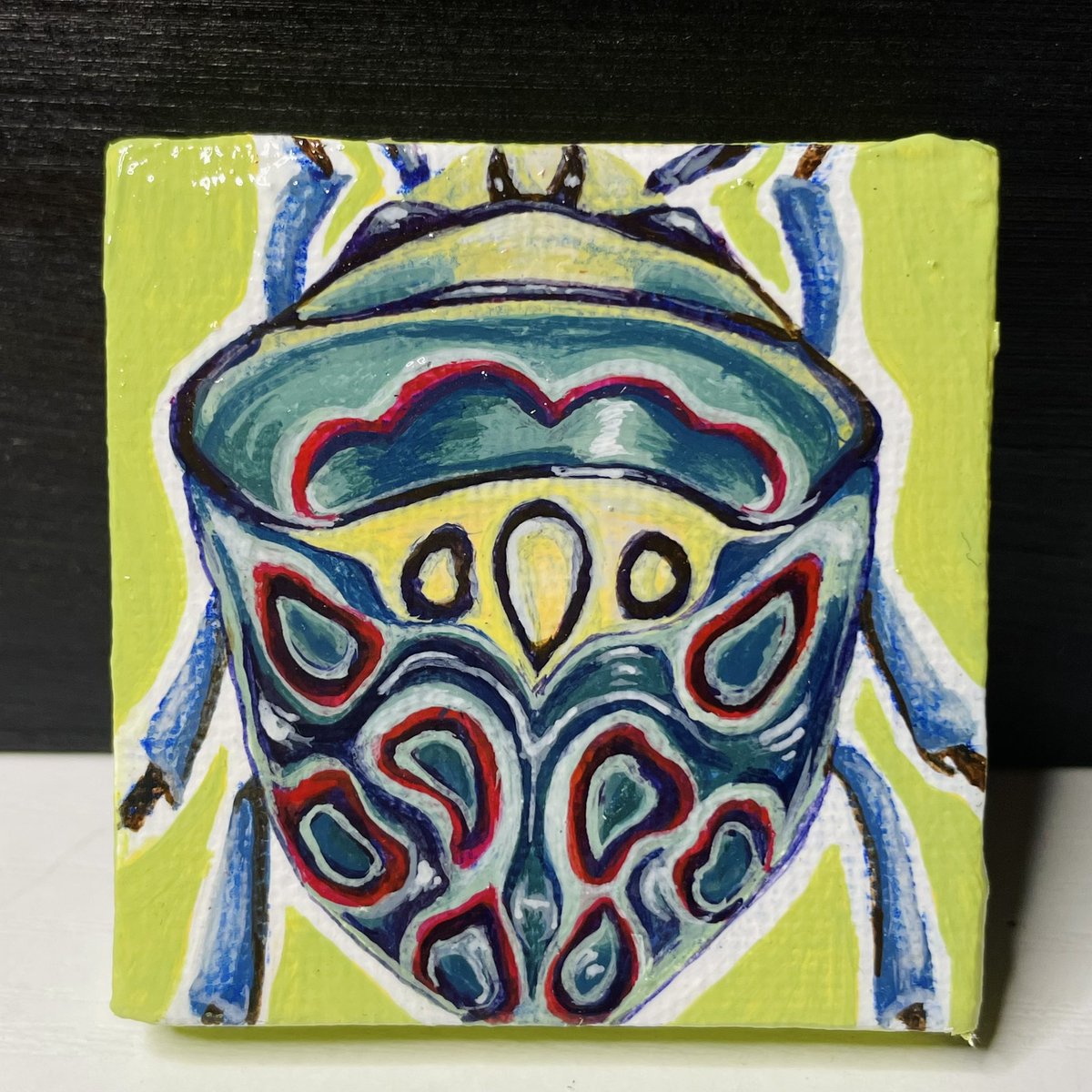 atinorx_'s tweet photo. calligrapha beetle | picasso bug | pink shield backed jewel bug 🪲 https://t.co/Mm8A4FTPg5