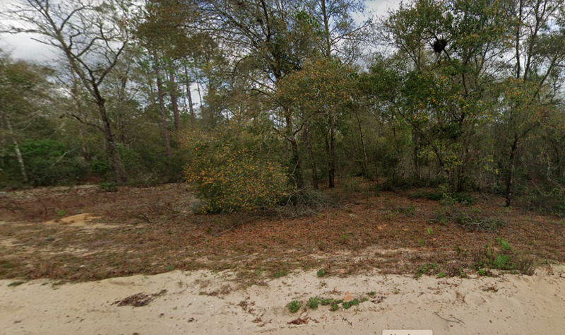 land_listings's tweet photo. Interlachen, FL | $13,500 | 0.47 Acres | Lake Life on Hickory Road https://t.co/JadKSRB3Re #Florida #residentialproperty #buyland #build #acre #realestate #land #cheapland #investing #land https://t.co/Wqi745hrlC