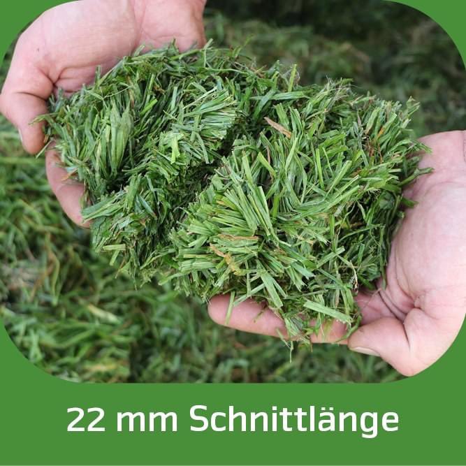 Augmentation significative du nombre de couteaux (=84) sur Autochargeuse diminuant la longueur de coupe théorique à 22 mm.
De quoi assurer un meilleur rasage des silos et une meilleure disponibilité des sucres solubles pour accélérer l’acidification du fourrage.