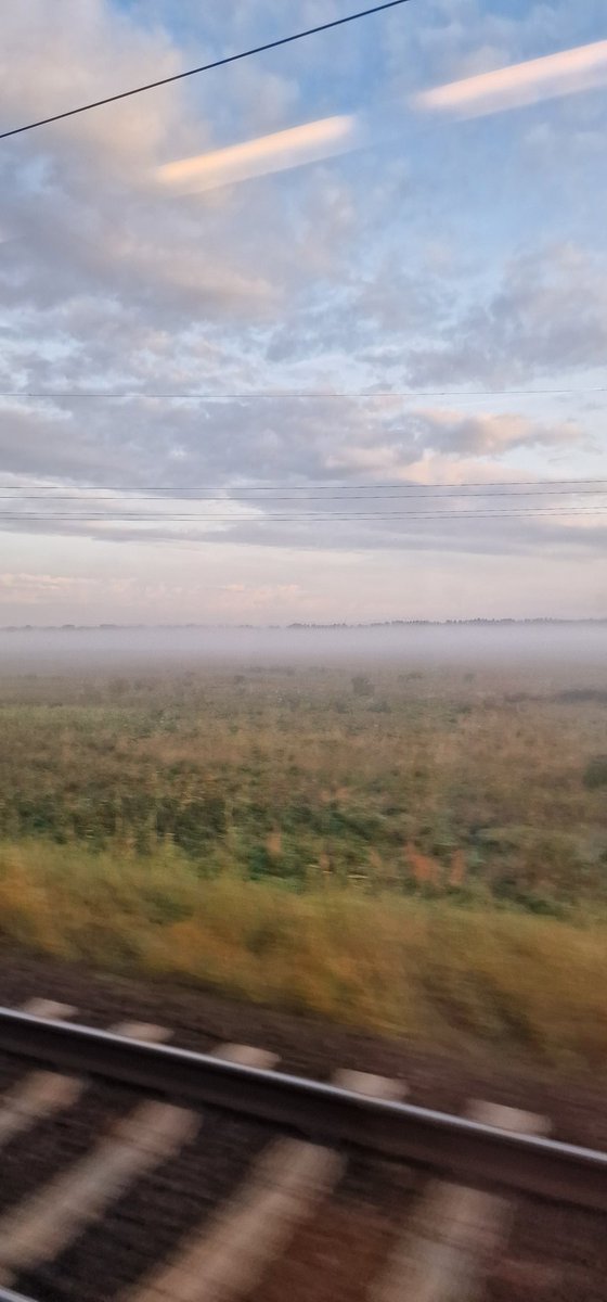 Techaktien tweet media