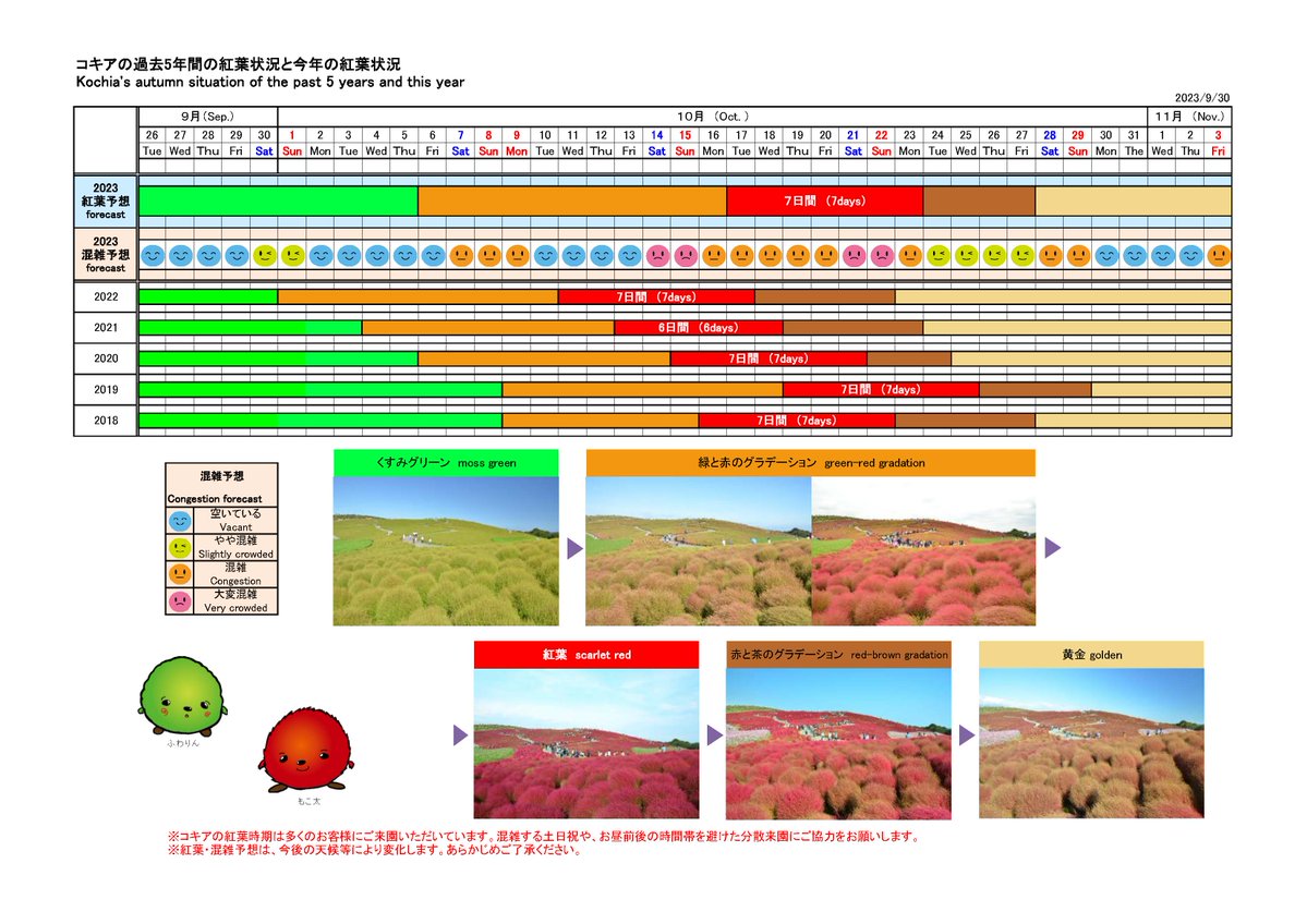 HitachiKaihin's tweet photo. 《#コキア の紅葉&amp;混雑予想》
#みはらしの丘 のコキアは10月6日頃に「色づき始め」、10月11日頃に「紅葉始め」、10月17日頃に「紅葉見頃」を迎える予想です。
※9/30現在の予想です。今後の天候等により変化します。

▼詳細はこちら https://t.co/IvJXpfkkXE

#ひたち海浜公園 #hitachiseasidepark https://t.co/51WjSar57u