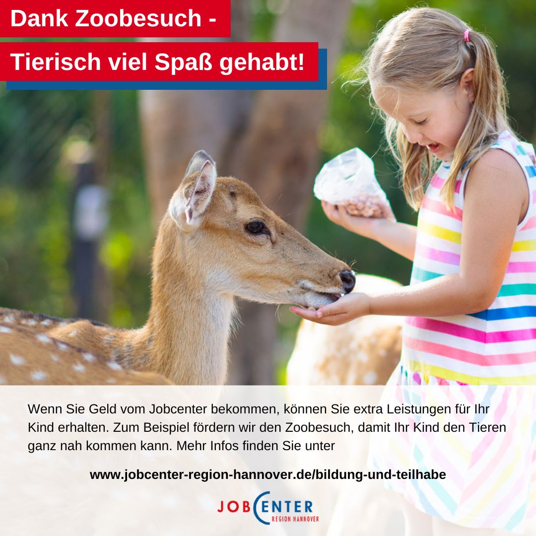 Alle Infos zu den Extra-Leistungen für Kinder und Jugendliche vom Jobcenter Region Hannover finden Sie unter jobcenter-region-hannover.de/bildung-und-te… 

#JobcenterRegionHannover #RegionHannover #Hannover #BildungUndTeilhabe #Kita #Kindergarten #Schule