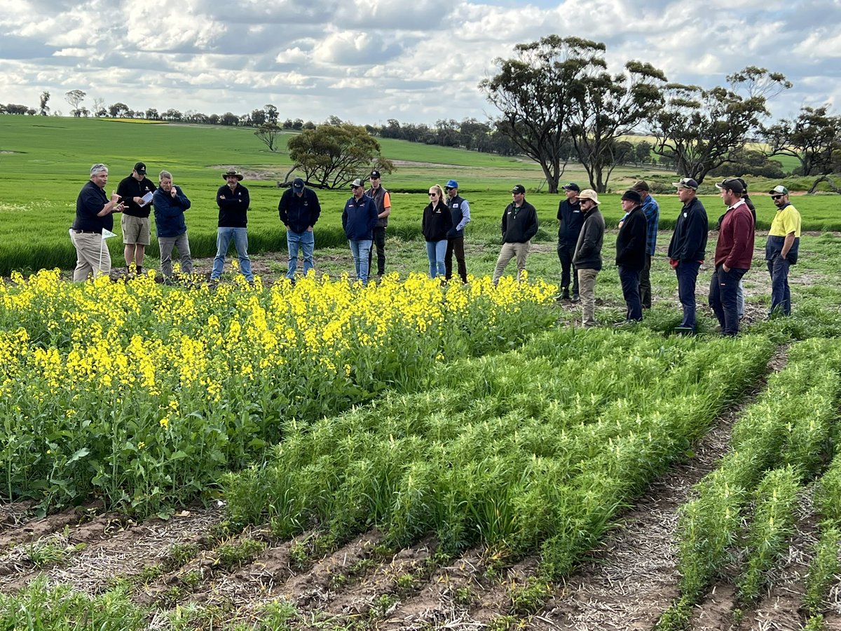 QFH Multiparts trials, thanks to all those who made the last 2 weeks possible with over 140 people attending.   #PrimaryAgronomy #QFHMultiparts #Trialco #Trials