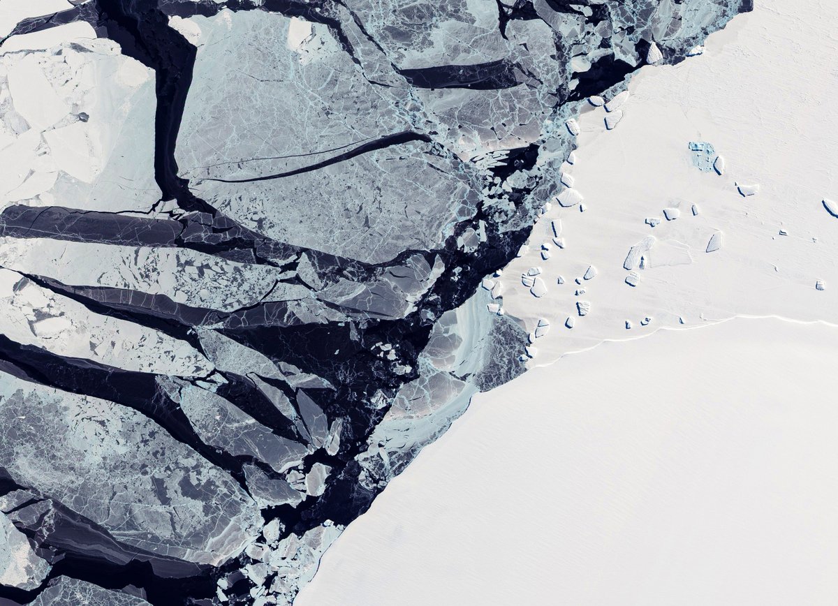 Australian Antarctic Program Partnership tweet media