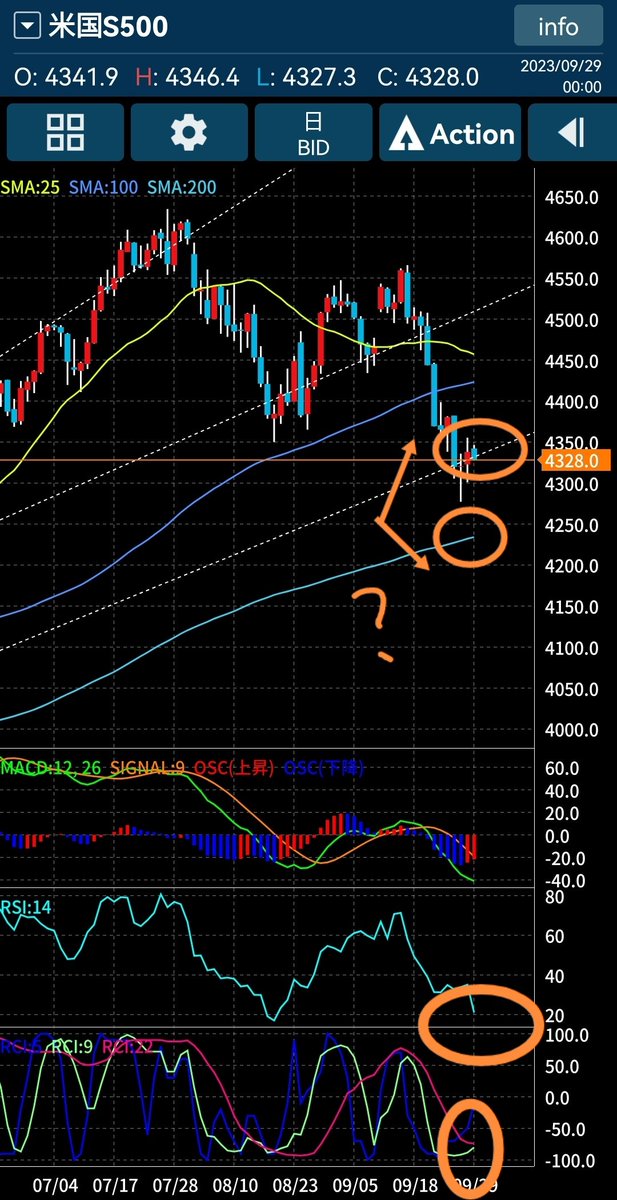 momo_ootou's tweet photo. #SP500 #daily #scaling https://t.co/mcj2icLLGK