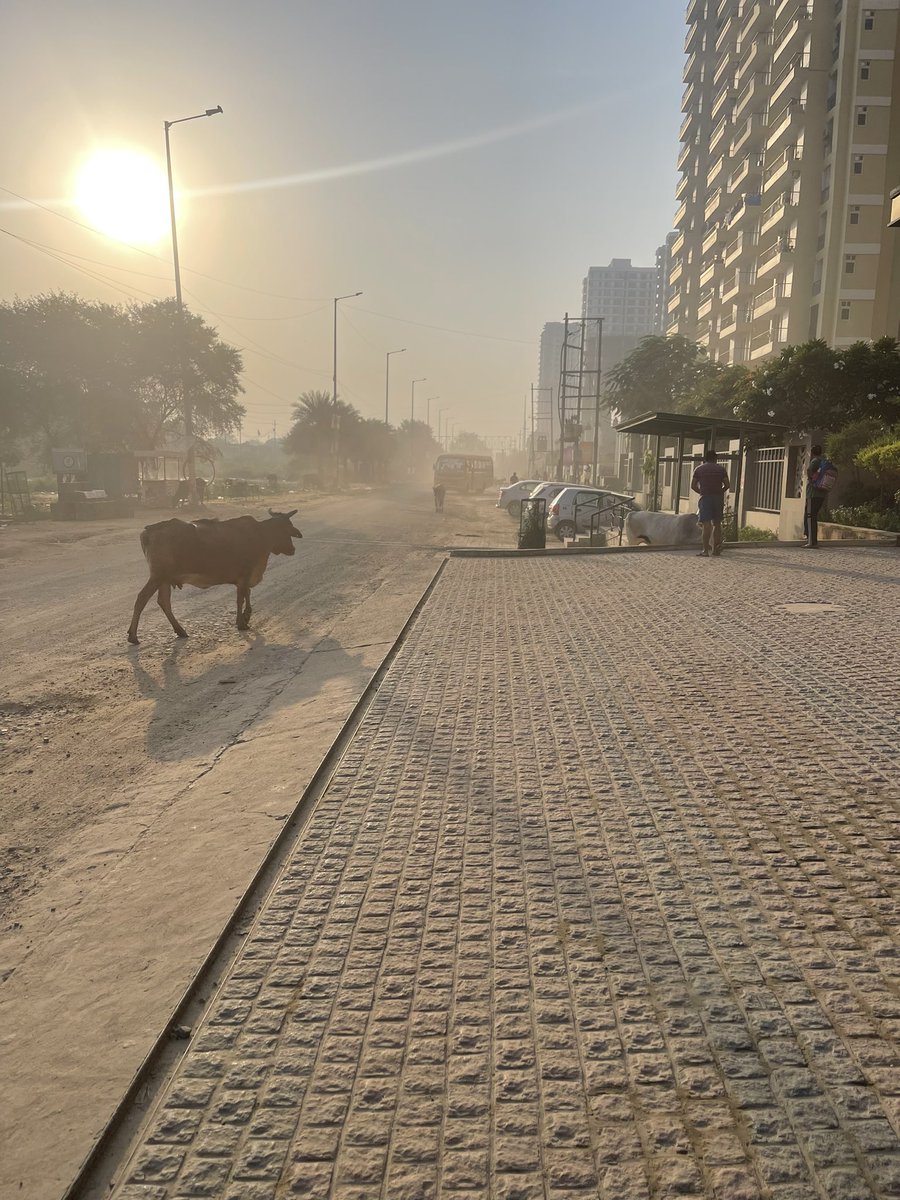 ThakurVvaibhav's tweet photo. धन्य है हमारी प्यारी सोती @OfficialGNIDA अरिहंत अंबर के पीछे ऐमनाबाद रोड की हालत। 

हर समय फ्री का पाउडर मिलता है मैलोड नहीं मिलता तो बस पक्की साफ़ रोड का इंसाफ़।   

कृपया आप लोग ही कुछ कर इस रोड का बहुत ज़ादा ख़राब रोड है।
@myogiadityanath @tejpalnagarMLA @OfficeMahesh @BJP4UP https://t.co/ya28rVulMp