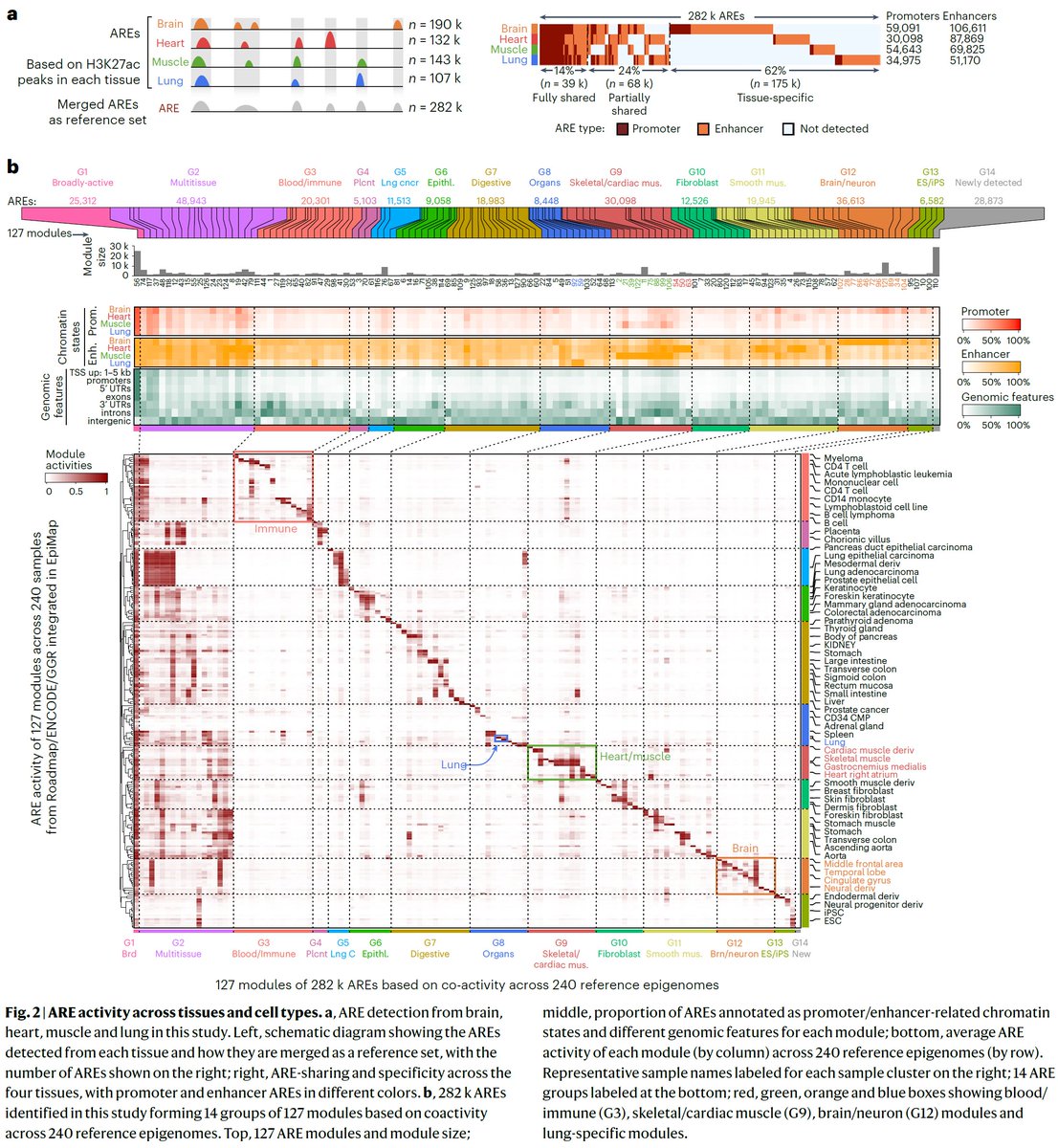 Manolis Kellis tweet media