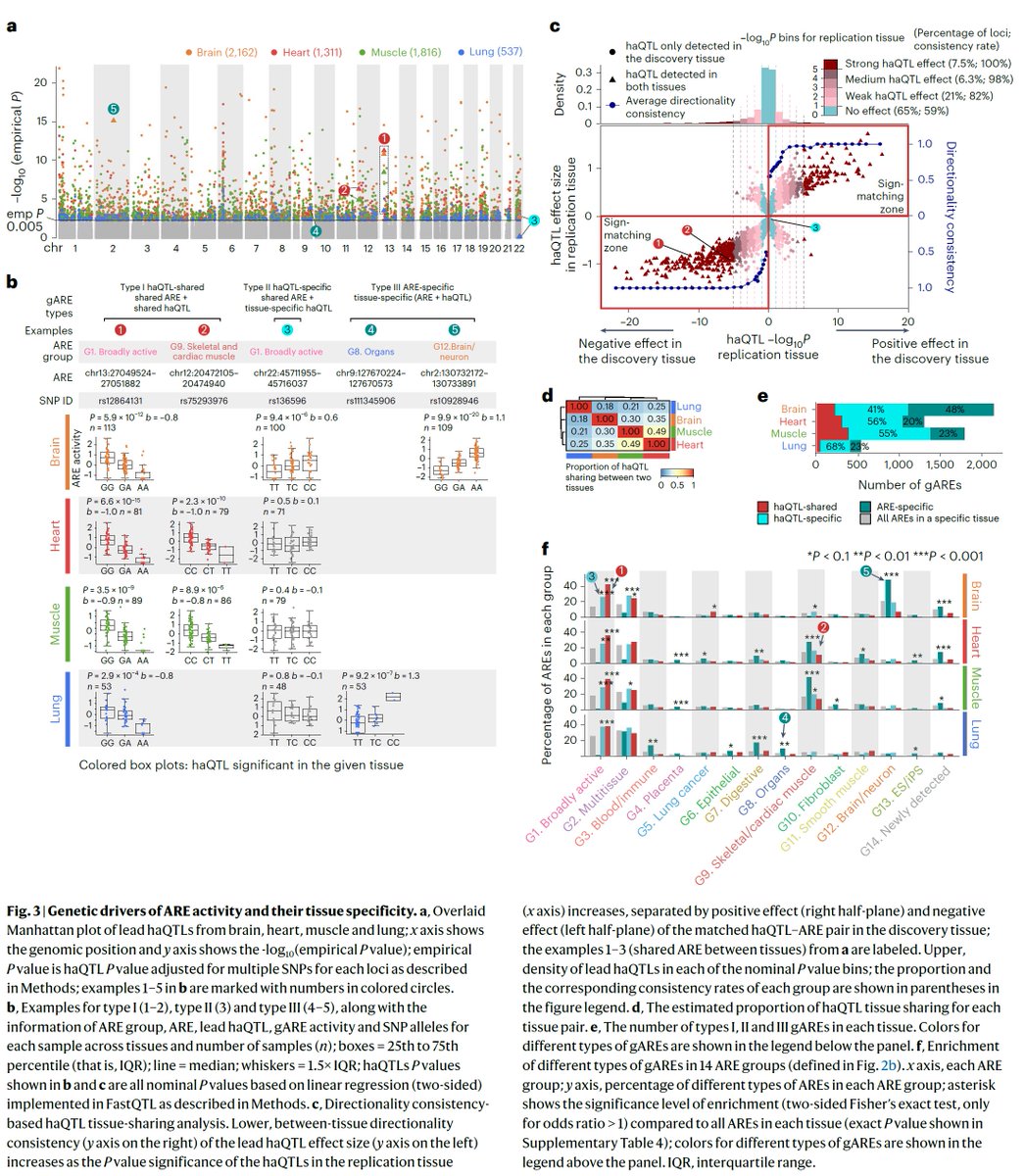Manolis Kellis tweet media