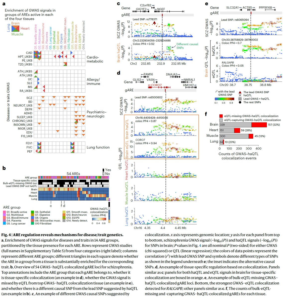 Manolis Kellis tweet media