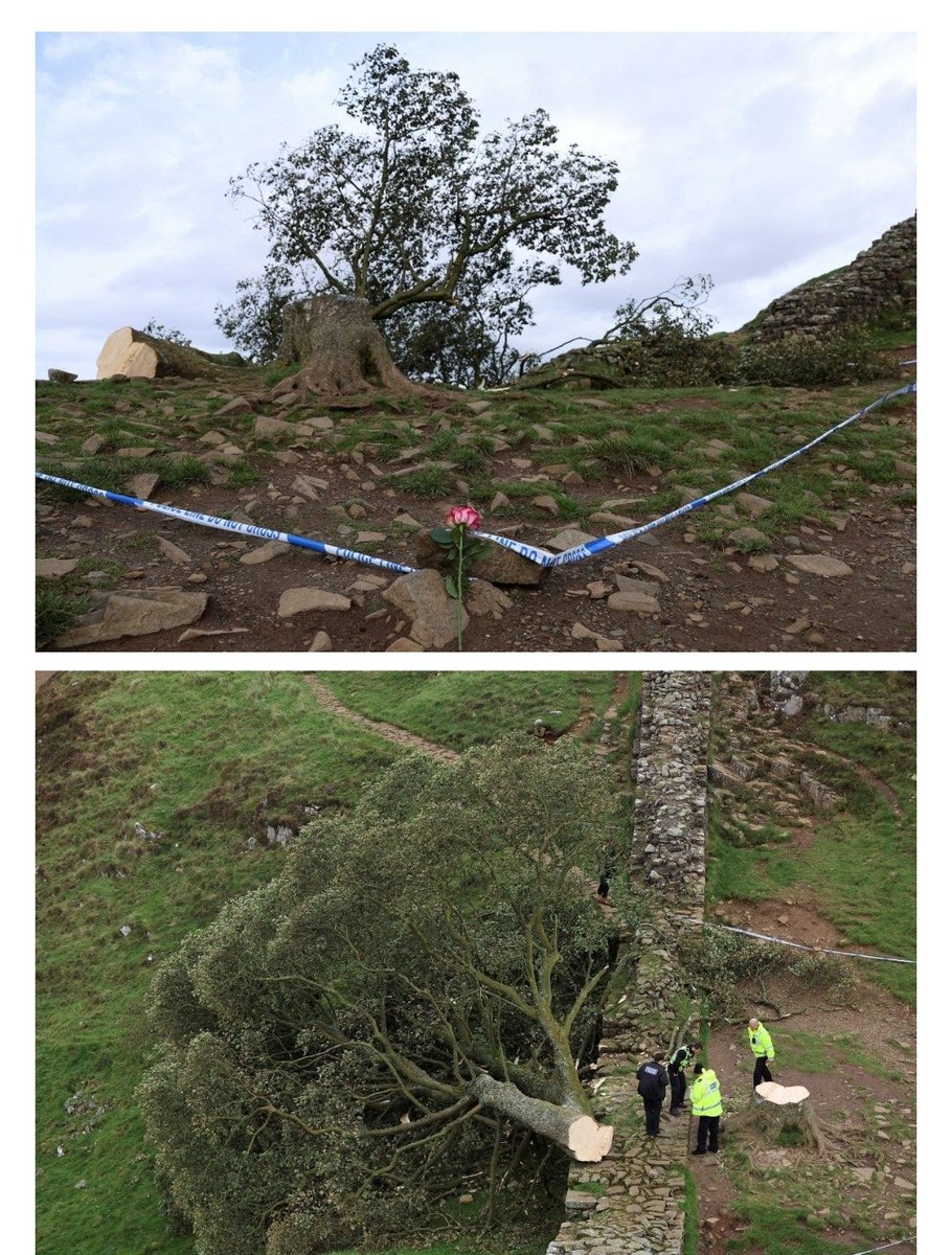 무슨 일이 일어나고 있나요? tweet media