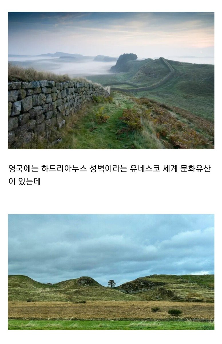 무슨 일이 일어나고 있나요? tweet media