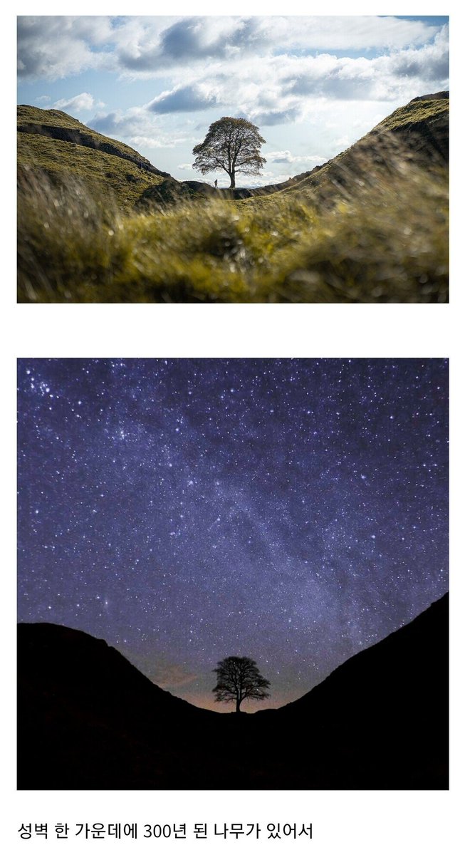 무슨 일이 일어나고 있나요? tweet media