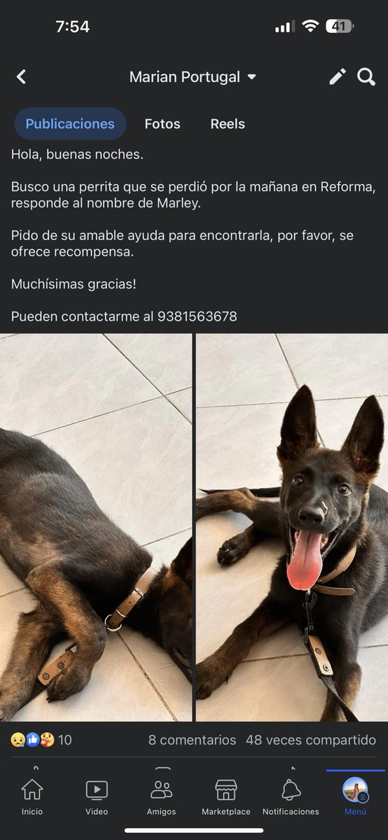 marianprtugal's tweet photo. Ayúdenme a compartir por favor😭😭 es mi bebé 😖😖😖 https://t.co/Tp53poQa72