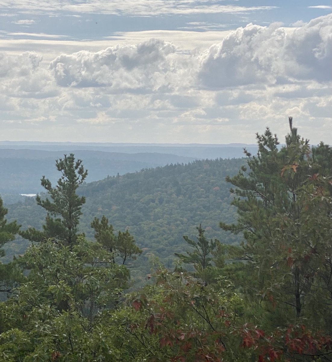 Tom Cook 🌎🇺🇸 tweet media