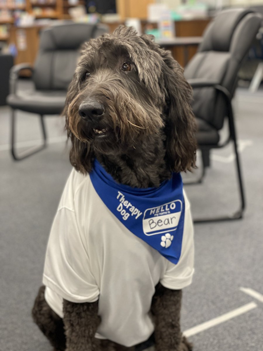 hmsbearapy's tweet photo. Spirit Week! #440Proud https://t.co/5DtYoVxRg5