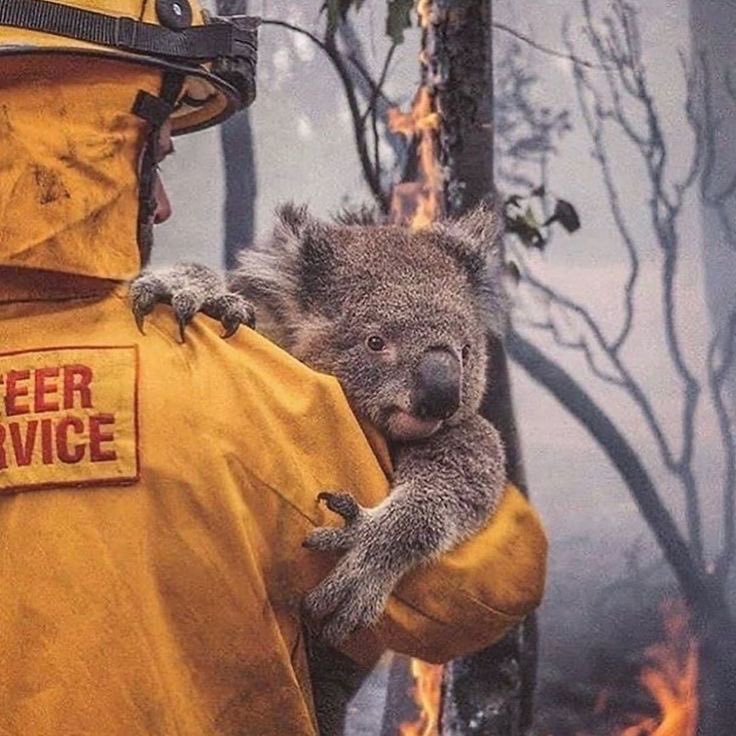 🙏🙏🌍🌎🌏🙏🙏

🙏 Our Prayers, Our Vision 🙏

🦹 We humans’ egotistical behaviors are now hurting the Earth. The destruction of the Earth's environment is continuing. 

🌪️ As a result, unprecedented abnormal weather phenomena and large-scale disasters are occurring globally.

🫨