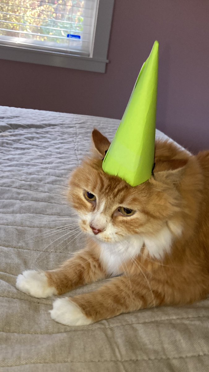 _SioRing's tweet photo. @melissafebos Happy birthday! https://t.co/Fxpj7RhYk1