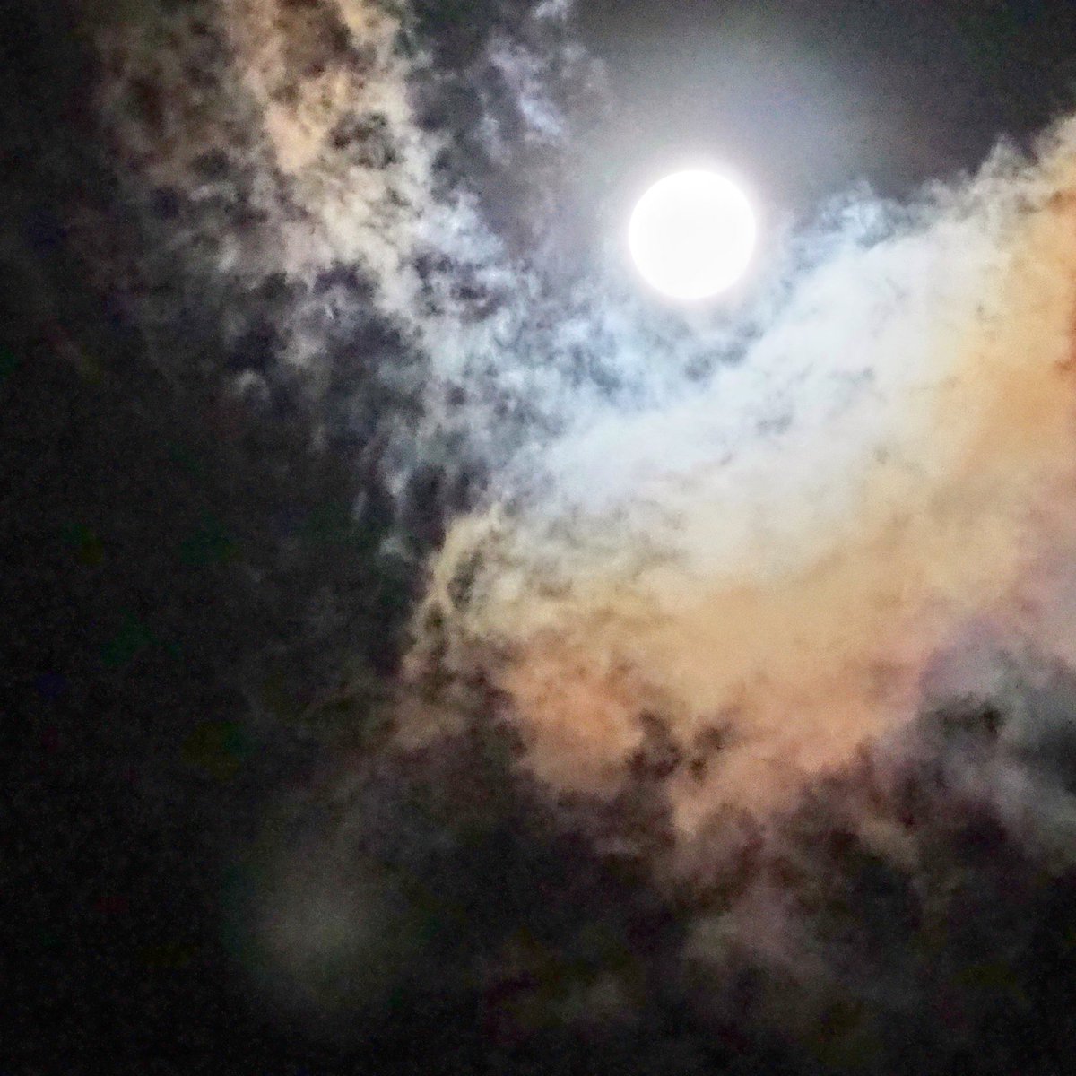 romihirolemon's tweet photo. 中秋の名月前夜の幻想的な空
#空ネット https://t.co/Iv2yPdieLj