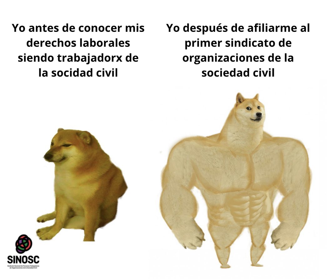 SINOSC México tweet media