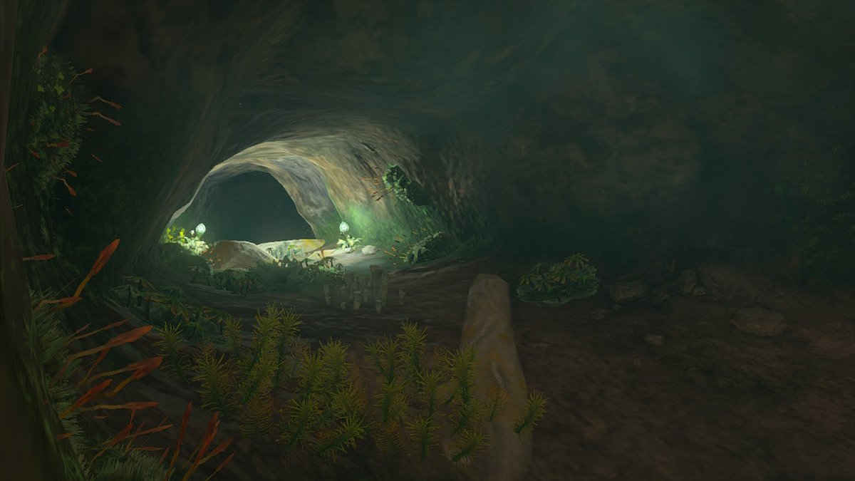 #Cave #Moss #InGamePhoto #TearsOfTheKingdom #Zelda #NintendoSwitch