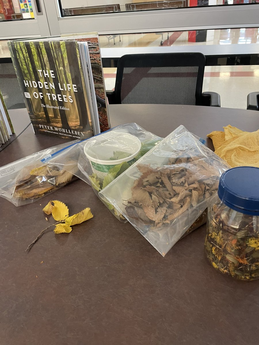 Our amazing artist in residence was back this week engaging the students with the textures and patterns from the trees and leaves in our community. Inspired by her ability to authentically bring the outdoors inside. <a href="/CbeArea1/">CBE Area 1</a> #weareCBE #landbasedlearning