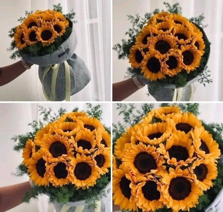 sunflowerchives's tweet photo. beautiful 💛 https://t.co/btrmV8m0nL