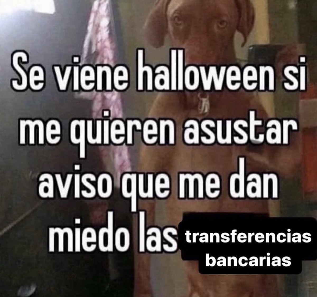 triste y con ganas de morirme ☹︎ (@cxrrly) on Twitter photo 