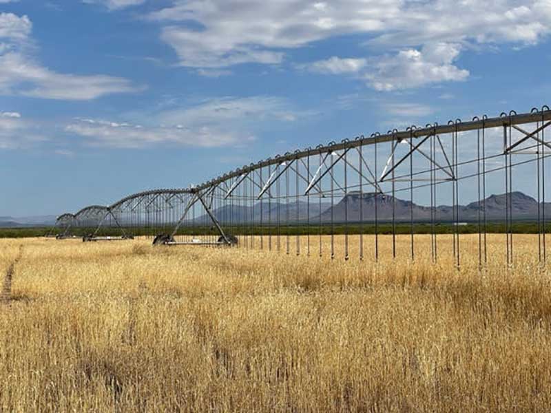 pivotsplus's tweet photo. Used Valley Pivot #241
Price: $80,594 Loaded on a Truck!!
Model: 8000
https://t.co/w4tnOMDlMO https://t.co/hyyev5sYAu