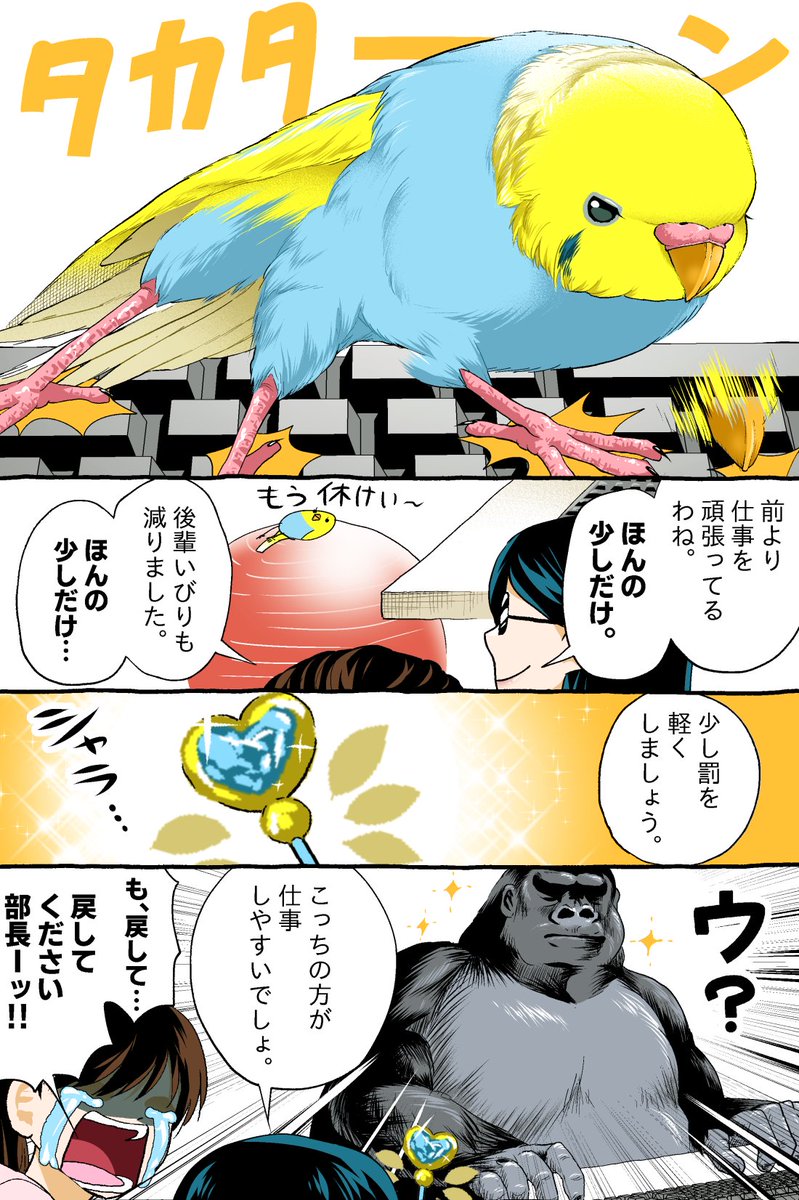 罪が軽くなる!?
--
「いじわる先輩、インコになった!? by初丸うげべそ @ugebes0 」 #インコ #ヤメコミ #4コマ漫画
▼初丸うげべそさんの過去作品
https://t.co/vpmy6uihkO 