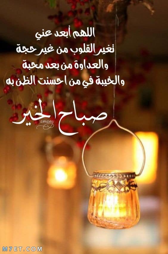 الكنج رفيق (@mrd659420673411) on Twitter photo 