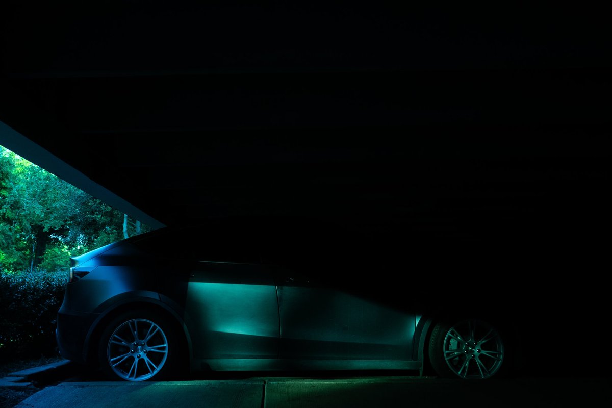 Daisy, photographed in Charlotte, North Carolina, 2023 #tesla #modely #portrait