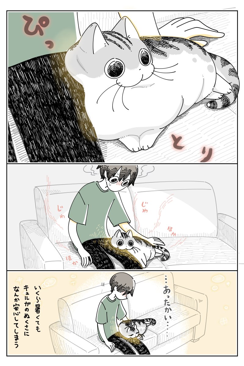 暑い日のネコ
https://t.co/O8snC4Fr89 